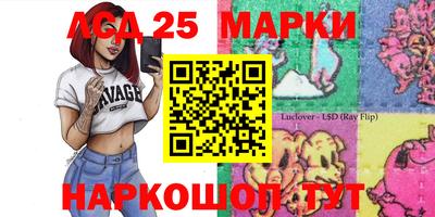 apvp Кимры