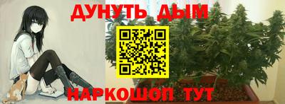 apvp Кимры