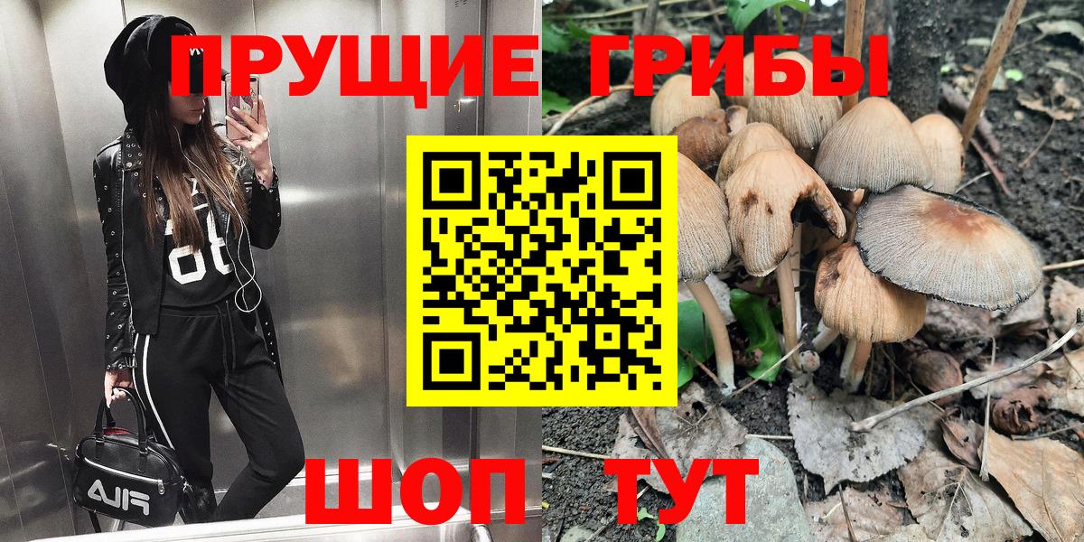 Красный Сулин  Псилоцибиновые грибы Psilocybine cubensis  Вход с VPN 